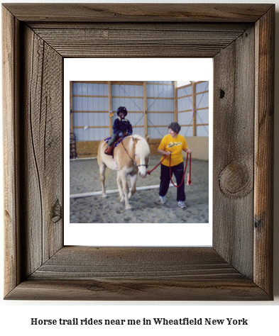 horse trail rides near me in Wheatfield, New York